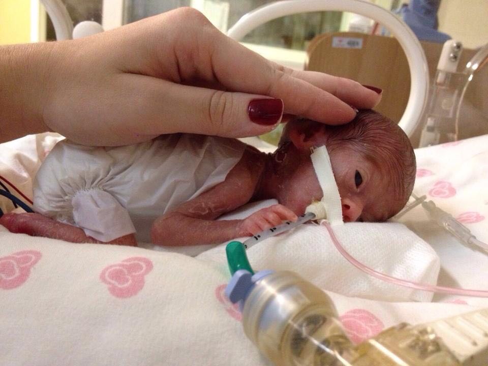 2016-11-11-photo-00037078